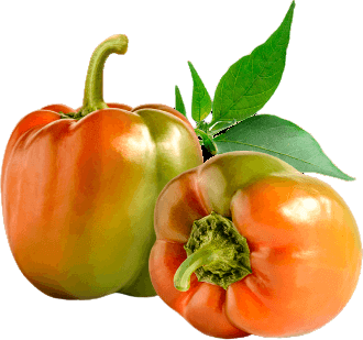 Piment de Cayenne séché Burkina — 100g