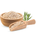 Sésame blanc décortiqué Burkina — 1kg