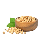 Soumbala traditionnel Burkina — 200g